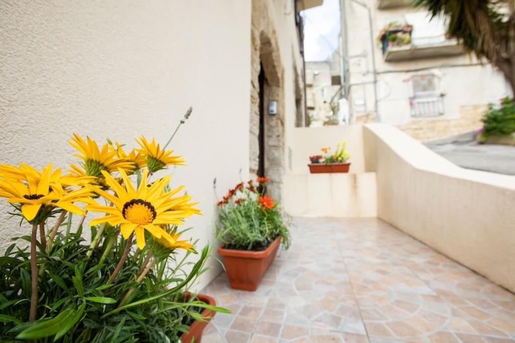 La Domus Di Segesta "Smart Solution" Apartment Calatafimi Exterior photo